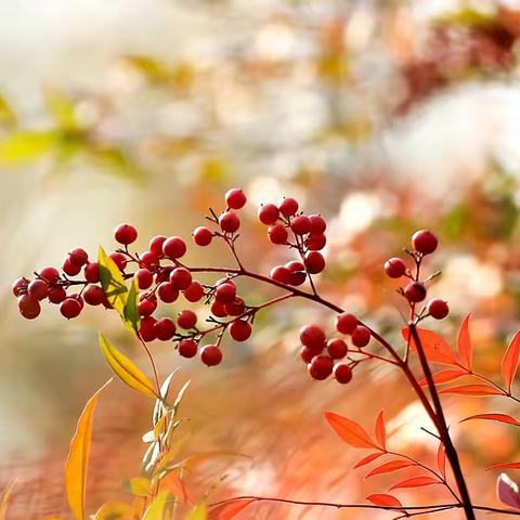 心系学生,情系教育——下曲小学寒假千人大走访总结