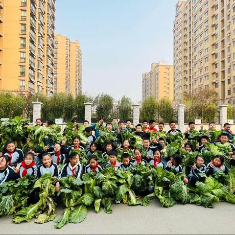 劳动砺心智，实践促成长——昌乐县第二实验小学拔白菜实践活动