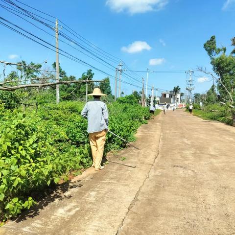 边海村开展人居环境整治