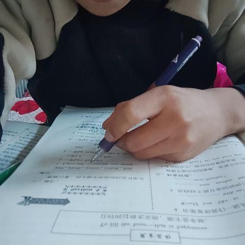 乐享寒假   “兔”飞猛进（七四班高越制作）