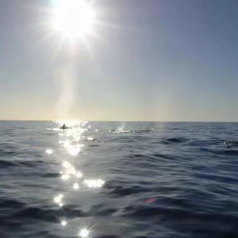 必须破解的4个问题