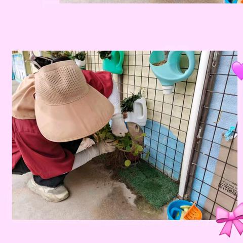 预防基孔肯雅热 守护健康家园 --塘口镇中心幼儿园开展防蚊灭蚊行动