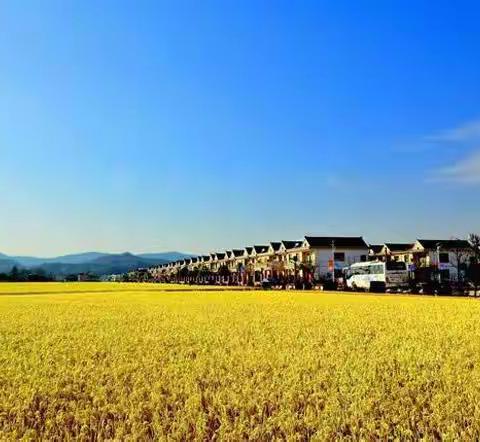 为农户的“炎炎”夏日“贷”来清风