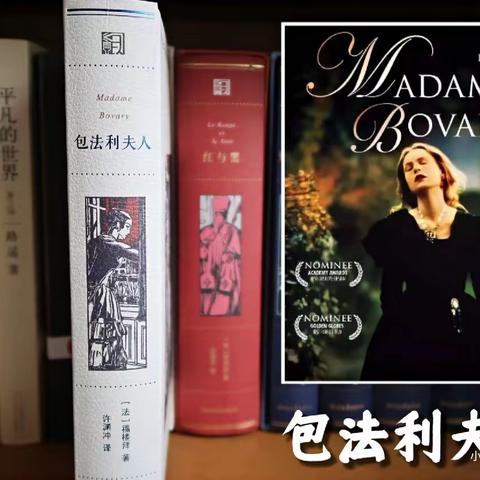 【阅读漂流瓶】女性文学经典《包法利夫人》读书笔记