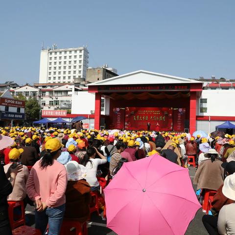 建功新时代  巾帼绽芳华