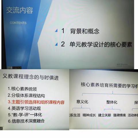 曙四闻道|曙光第四小学综合组教师“教材解读”假期学习简报