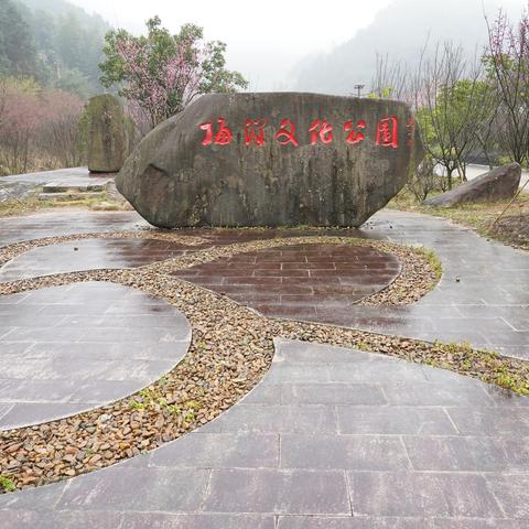 连江梅洋村雾里赏梅1