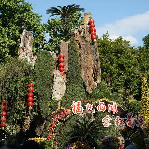 西湖公园菊花展