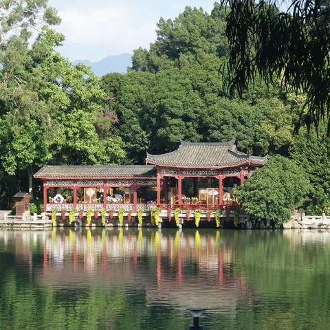 2025福州第62届金秋菊展