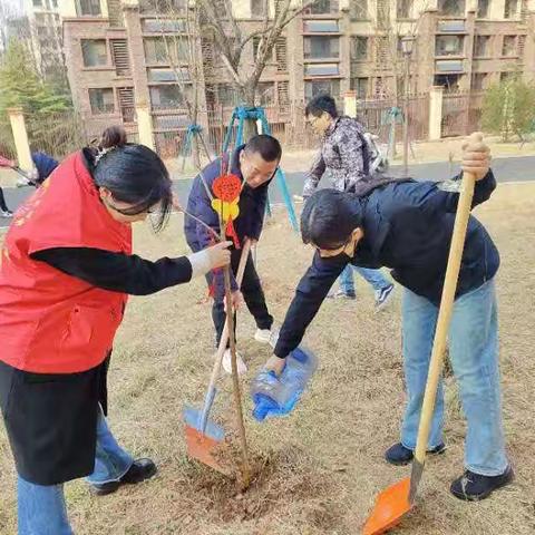 兴隆街道兴盛社区开展“植入春天 点亮辖区生活”雷锋月暨植树节活动