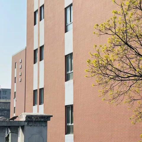 武汉市六中上智中学八下第七周工作简篇 ——与春共舞 向阳而生