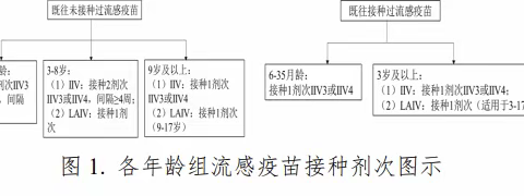 秋天的第一支疫苗——流感疫苗，您接种了吗？