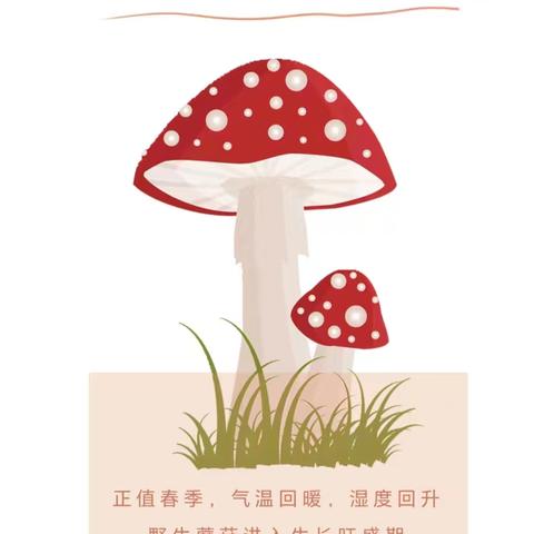 “珍爱生命，远离毒蘑菇”——广信区皂头镇幼儿园预防毒蘑菇安全知识宣传