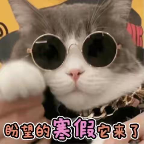 多彩寒假相伴  一路繁华成长