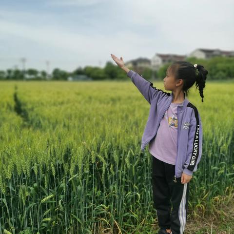 包芯语的五一劳动实践活动