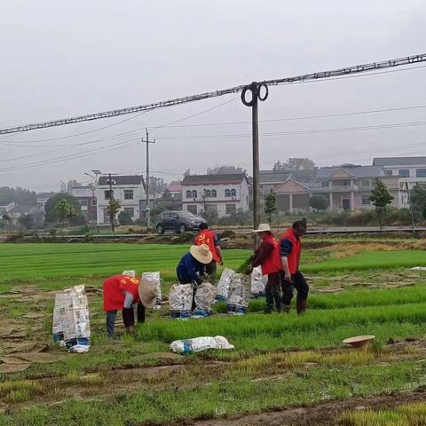 北街社区“振兴美丽乡村·播种绿色希望”志愿服务活动