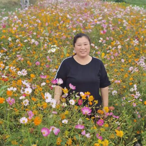 讲台三尺育桃李，丹心一片绽芳华 ——遵化市第二中学教师孙小娜事迹材料