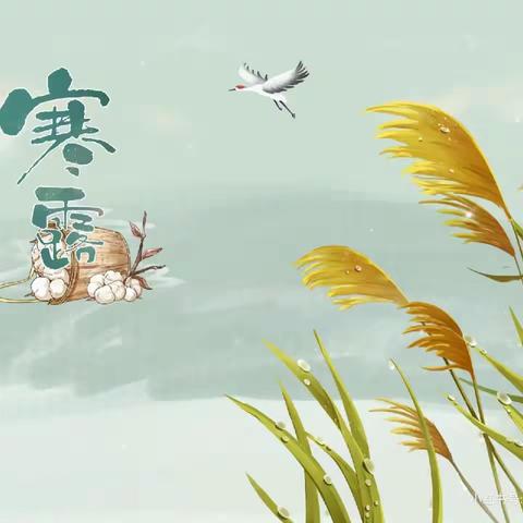 圣慧聪明娃明珠幼儿园二十四节气——寒露至，秋意浓