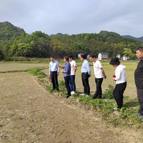 4月17日陈长开前往叠山镇、港口镇调研