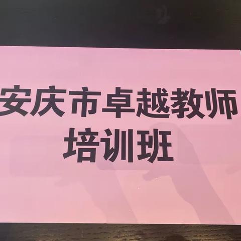 心有所“属”  “研”路生辉——安庆市“国培计划(2023)”政史地卓越教师培养项目集中研修