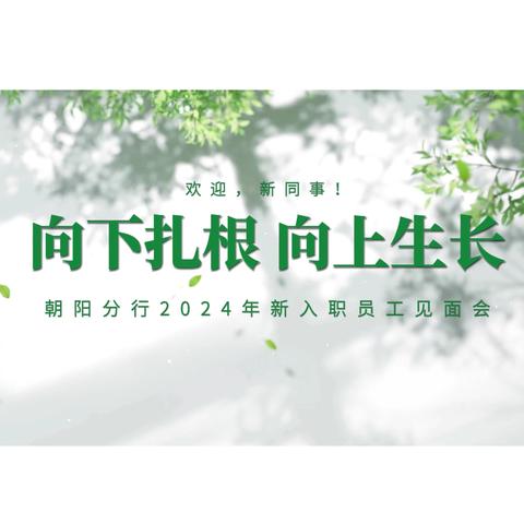 “向下扎根，向上生长”—建行朝阳分行2024新员工入职见面会