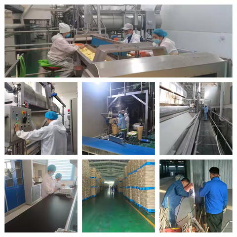 里程碑式的跨越-记山丹县芋兴粉业有限责任公司首次完成1万吨马铃薯全粉加工达产达标任务