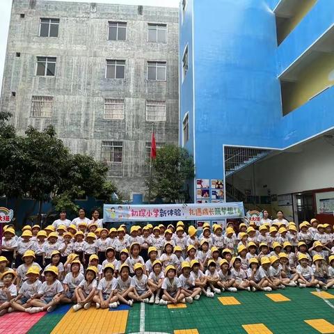 参观小学初体验——新兴幼儿园参观小学活动