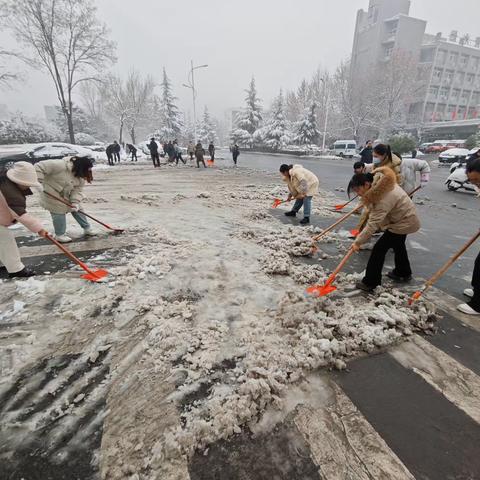 扫雪除冰暖人心 齐心协力保畅通  --市林业局开展除雪行动