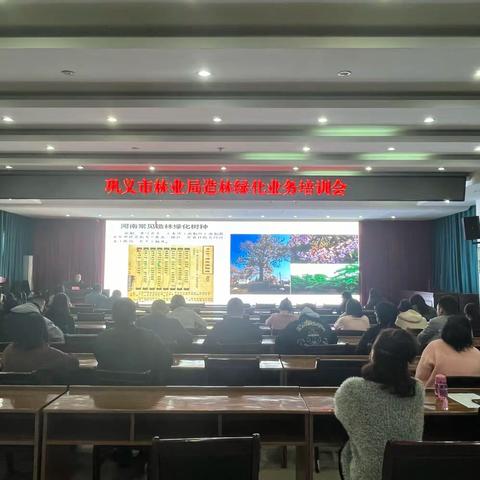 市林业局组织召开造林绿化业务培训会