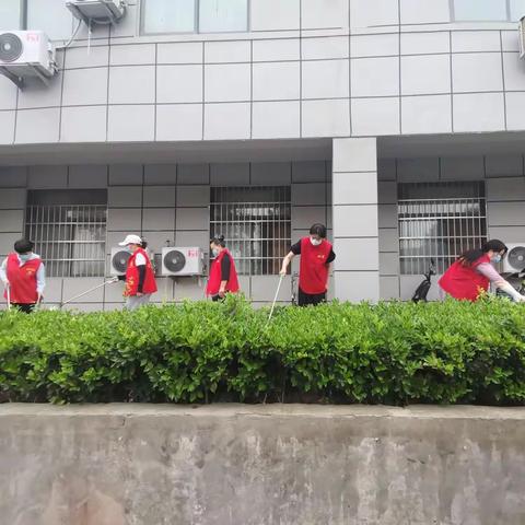 双龙社区开展周末清洁活动