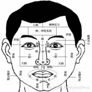 你的气色还好吗？——杜城街道竹园嘉苑社区科普大学开展“面诊、手诊”课堂