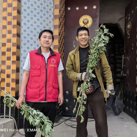 韩家庄社区“浓情端午 送艾到家”