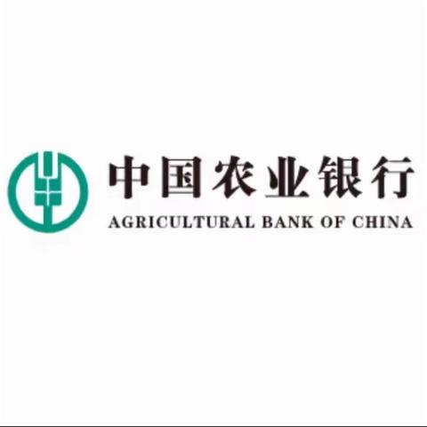 中国农业银行海南省分行 2024年网点对公导入项目总结