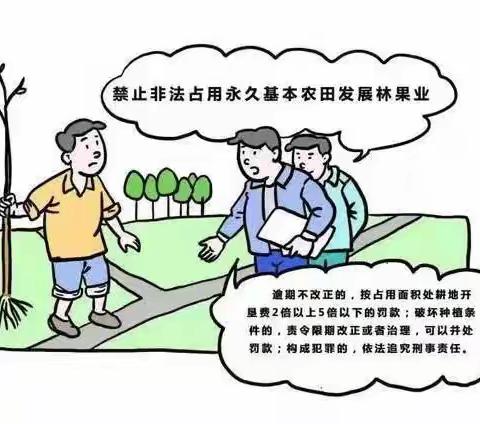 @寿张集镇父老乡亲：注意啦！禁止在耕地内种树