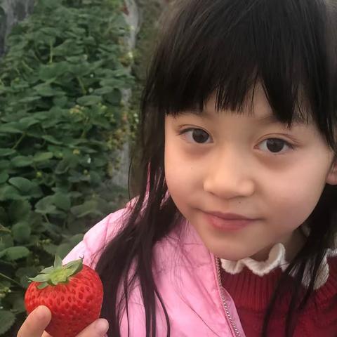 【新年快乐】·我的多彩寒假生活