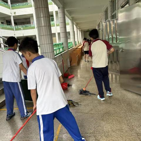 校园大扫除：小身影里的大担当