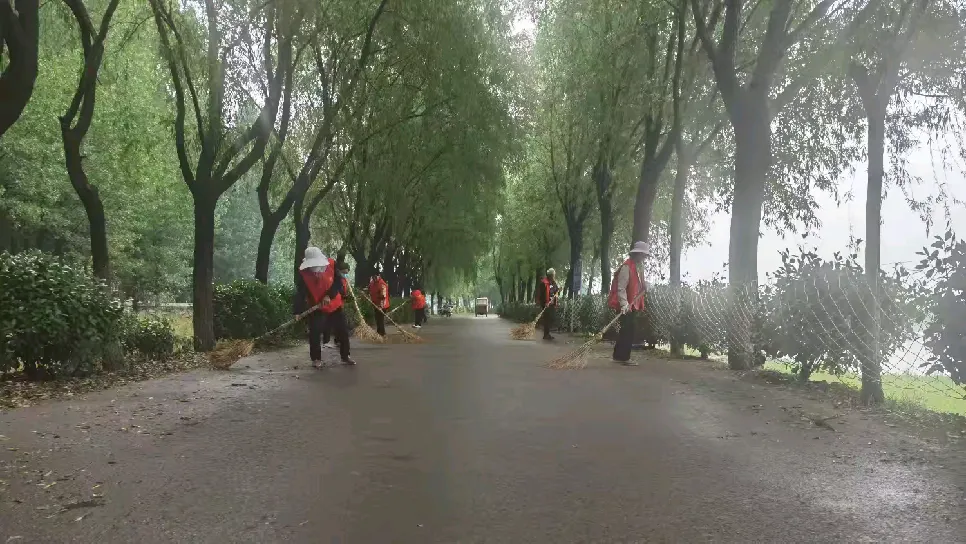 簡篇-扎實履行河長制 保障汛期安全||張卜街道干群齊心共同守護河暢岸綠景美