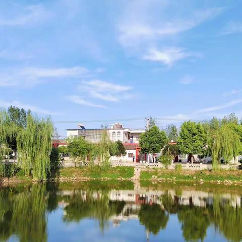 厚植“绿色希望”：槐店乡开展乡村道路绿化提质观摩活动