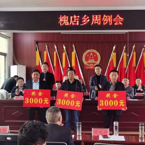 槐店乡：召开道路绿化提质阶段性表彰大会