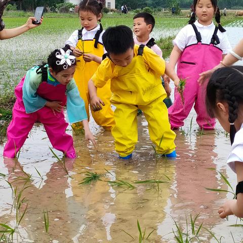 今天，和司马光小镇来一场农耕文化邂逅之旅吧！