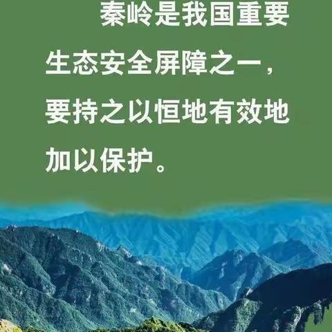 守护中央水塔，当好秦岭卫士