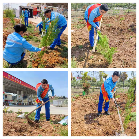 石林党支部开展“植树护绿”活动