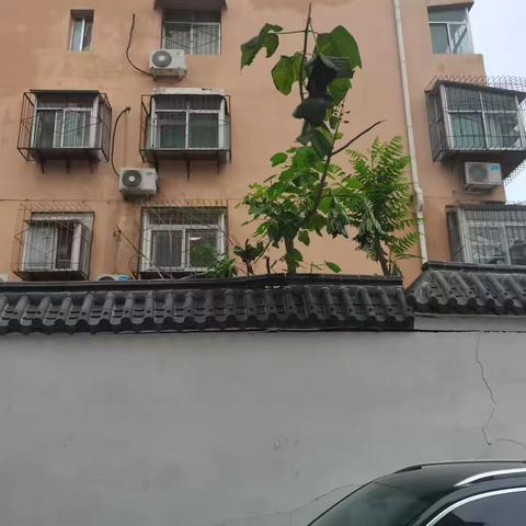 【治荟明湖·温暖南北】为群众办实事——大明湖街道南北历山社区危墙及时修复