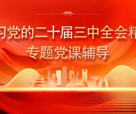 金普分公司党委举办学习贯彻党的二十届三中全会精神专题党课