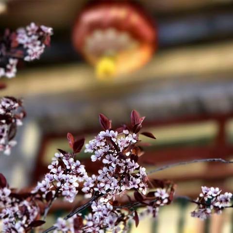 赴一场山晋之约，尽览千年古韵（上篇）
