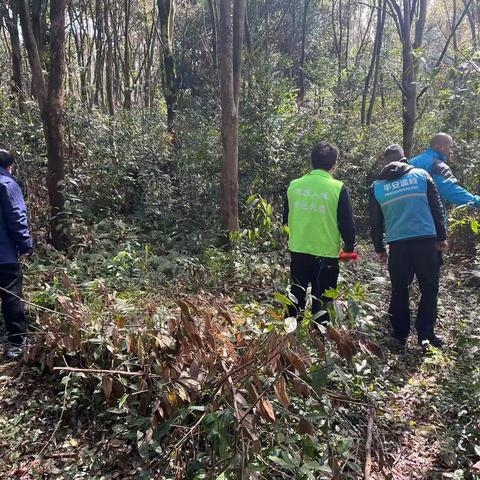 禁种铲毒在行动 宣传踏查守净土