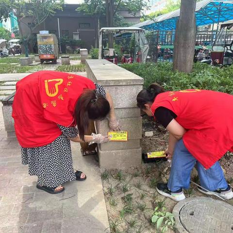 【投放鼠药，驱除四害】甘亭街道丰京社区积极开展鼠药投放活动