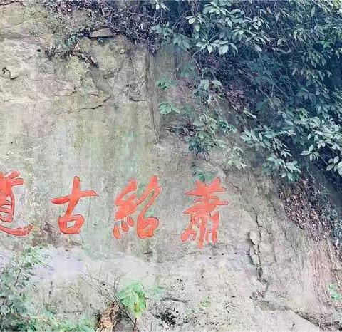 走进萧绍古道，探究古道文化 ---------实验中学八（11）班