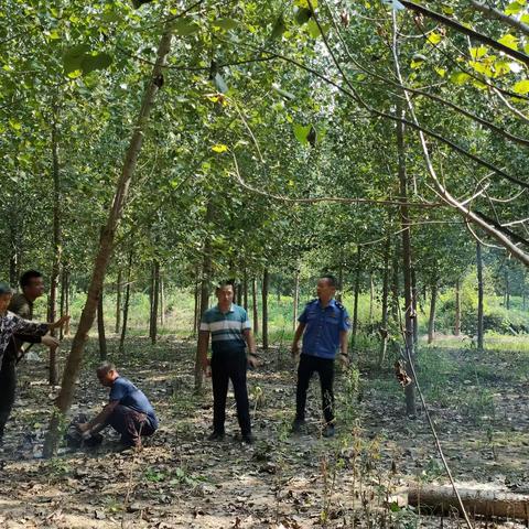 【情暖网格】网格有我，初心为民---河套管区总支书记张健同志