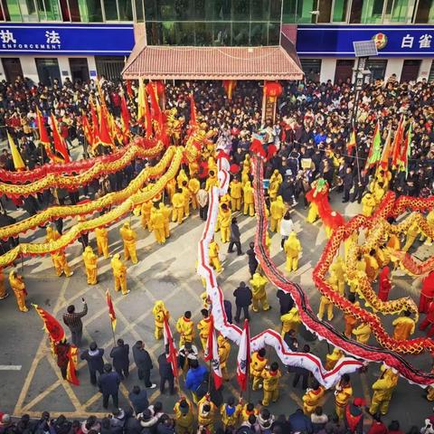 白雀园镇：龙狮聚元宵，团圆庆佳节